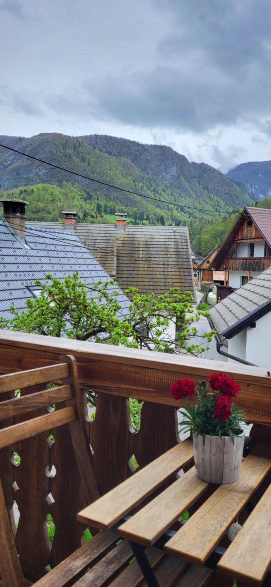 Apartments & Hostel Bohinj Εξωτερικό φωτογραφία